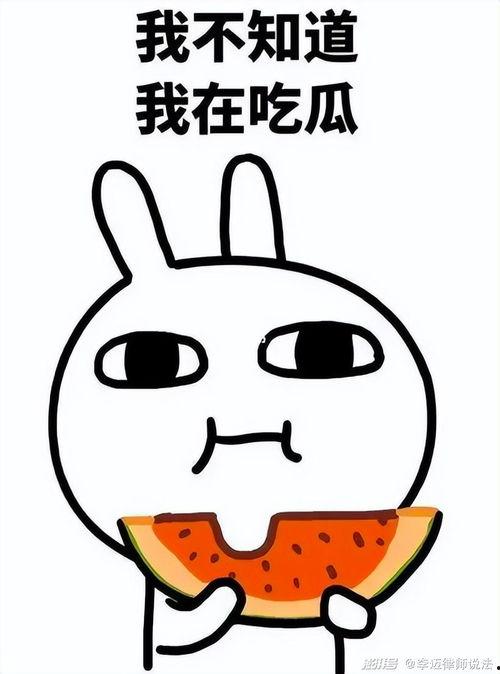 胖虎吃瓜频道,揭秘娱乐圈幕后真相，带你领略明星们的真实生活  第1张