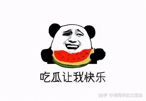 吃瓜啦的文案,吃瓜啦！揭秘娱乐圈最新热点事件