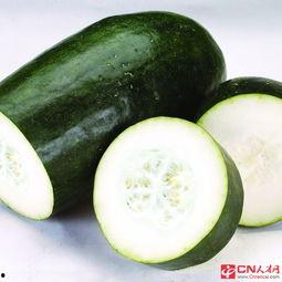 女人吃哪些瓜好,挑选最佳“瓜类”美食攻略