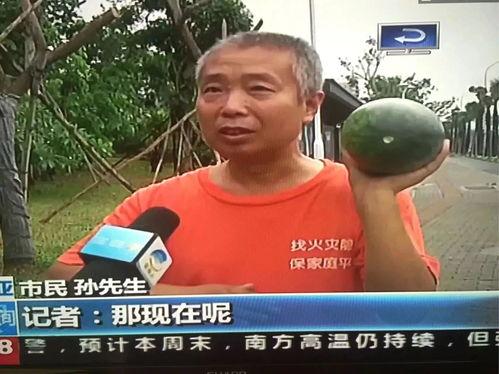 421事件吃瓜群众,吃瓜群众视角下的网络舆论风暴  第1张