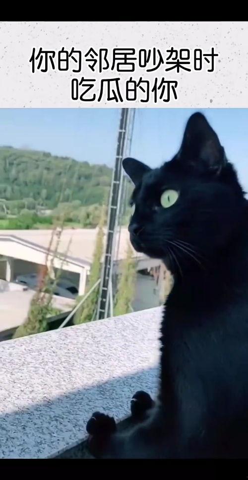 吃瓜瞬间吵架,一场舌尖上的口水战