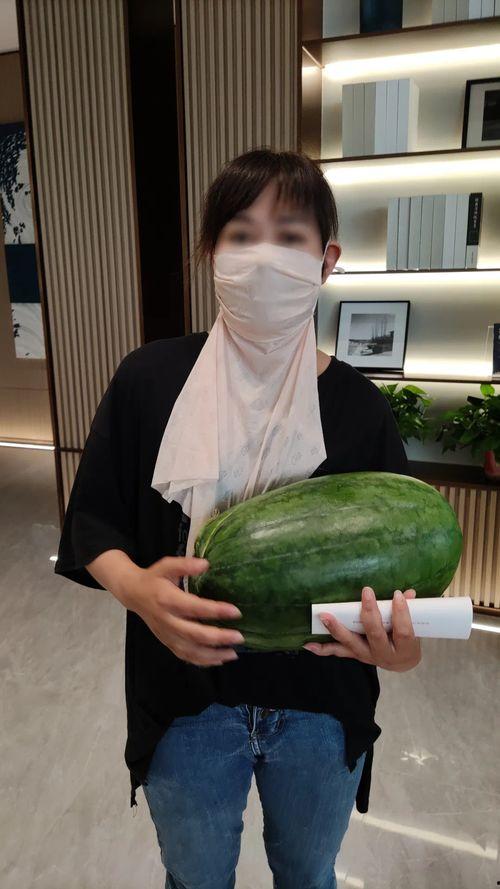 池瑶吃大瓜,揭秘娱乐圈背后的惊人真相  第2张