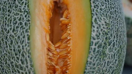 清凉夏日吃瓜帅哥,邂逅吃瓜帅哥的悠闲时光