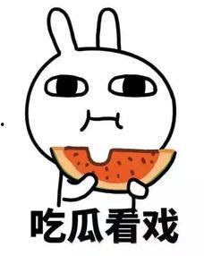 带你吃瓜音感,带你领略“带你吃瓜”的独特音感魅力