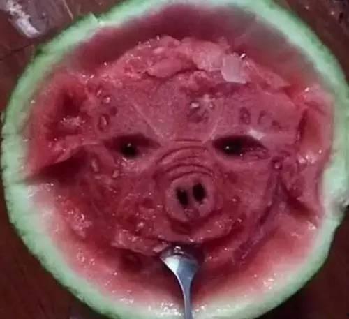 带你吃瓜音感,带你领略“带你吃瓜”的独特音感魅力