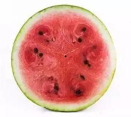 吃瓜的概念,网络时代的围观文化现象