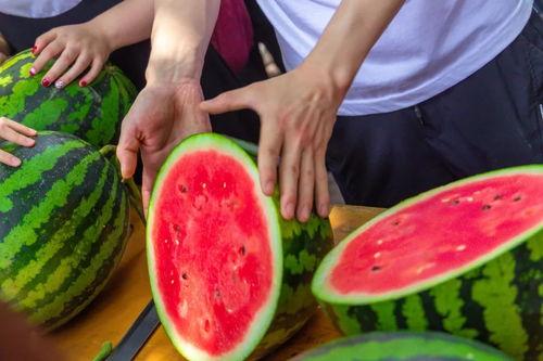 哈尔滨学校吃瓜事件,校园食品安全问题引发关注