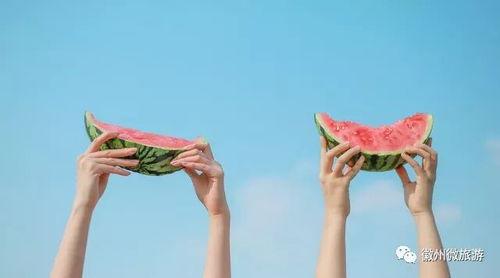 虎子吃瓜快板 词,趣味横生的市井生活画卷