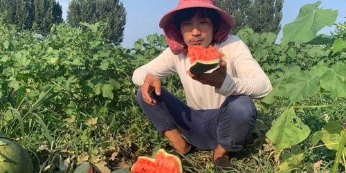 小盼吃瓜,揭秘娱乐圈那些不为人知的幕后故事  第3张