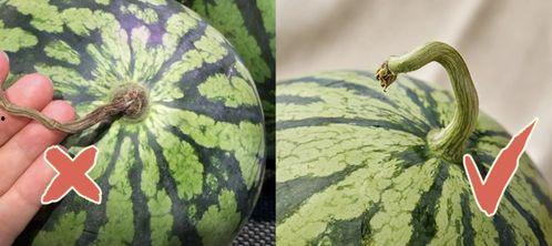 小宇宙吃瓜,揭秘娱乐圈那些不为人知的幕后故事  第2张