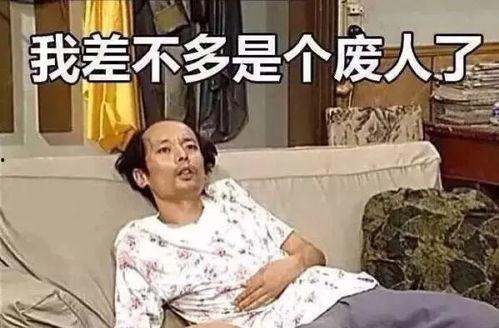 不如躺着安静吃瓜,不如躺着安静吃瓜，享受悠闲时光  第3张