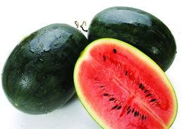 ntplayer吃瓜源,带你走进娱乐圈幕后风云  第1张