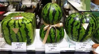 奇吃瓜,揭秘娱乐圈那些不为人知的幕后故事