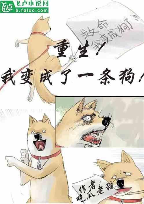 小说全线吃瓜,一场全民狂欢的瓜田盛宴  第3张