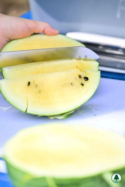 吃瓜的表现,揭秘网络热议背后的众生相