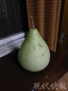 广州吃瓜中毒,意外中毒背后的食品安全警示