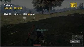 麻瓜龙吃鸡图片,一场别开生面的吃鸡盛宴