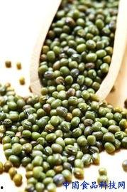 夏天在家喝茶吃瓜,品茗赏瓜，悠然自得时光  第1张