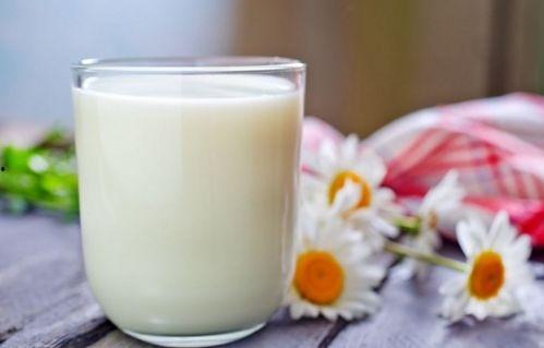 吃瓜可以喝牛奶,夏日消暑新选择  第3张