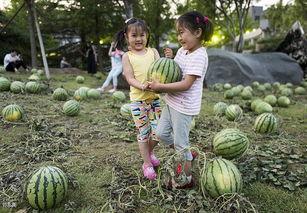 湖南吃瓜中心  第2张