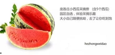 湖南吃瓜中心  第3张