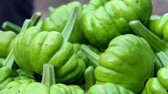 七瓜怎么吃,解锁夏日清凉新体验