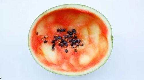 吃瓜真实案件真相,真相令人震惊