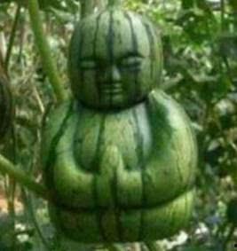 吃瓜真实案件真相,真相令人震惊