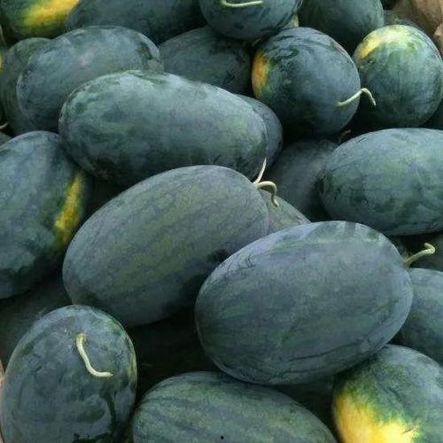 安阳殷都区吃瓜,瓜果飘香里的历史韵味