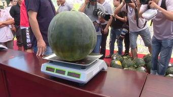 特技吃瓜,揭秘幕后精彩瞬间