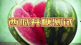 惊讶吃瓜动图,动图揭秘惊讶表情大揭秘