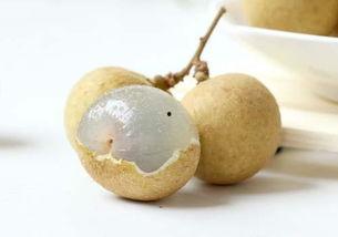 蒲瓜月经可以吃吗,蒲瓜月经期间适宜食用吗？营养与健康的探讨