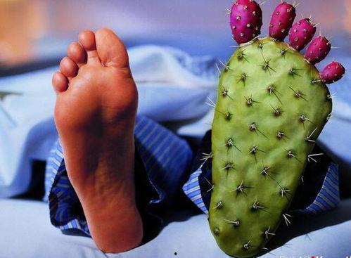 痛风可以吃花皮瓜,花皮瓜助力健康饮食