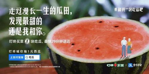 骗人吃瓜的文案,揭秘网络谣言的传播与应对