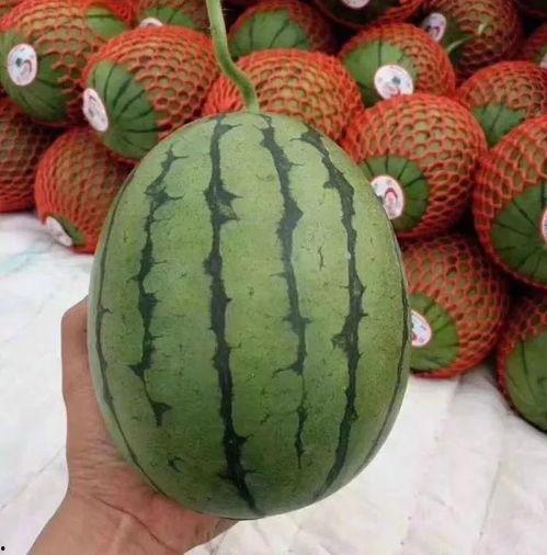 超级吃瓜聊天,揭秘娱乐圈幕后故事