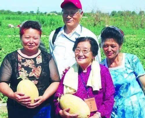 教授吃瓜交警,一场意外引发的趣味互动