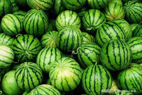 福建女子吃瓜,瓜中藏宝引网友热议