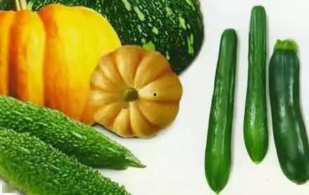 吃瓜的谐音,瓜界风云录