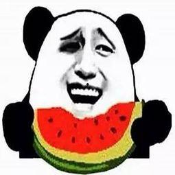 吃众群瓜,揭秘娱乐圈最新热点事件