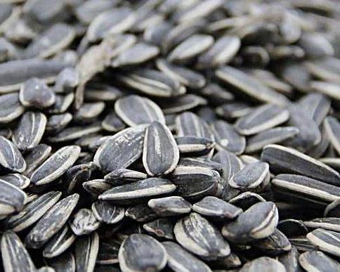 户外瓜子吃瓜,瓜子相伴，共享夏日清凉时光