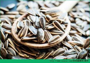 户外瓜子吃瓜,瓜子相伴，共享夏日清凉时光