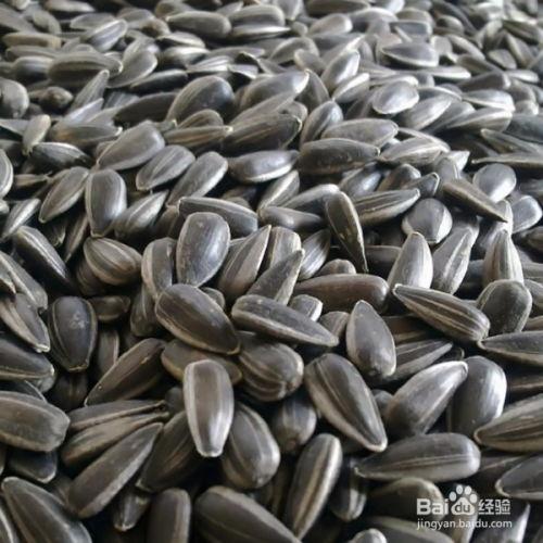 户外瓜子吃瓜,瓜子相伴，共享夏日清凉时光