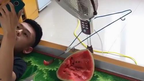 自动吃瓜机图片,科技与美食的完美融合