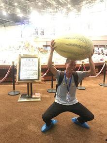 吃瓜观众在,吃瓜观众视角下的明星幕后故事