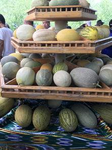 吃瓜观众在,吃瓜观众视角下的明星幕后故事