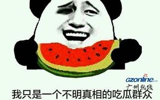 官场吃瓜,揭秘官场背后的吃瓜故事