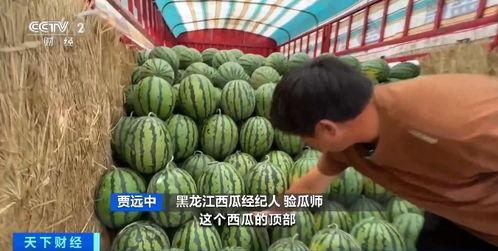 吃瓜看什么平台,看瓜平台大比拼  第2张