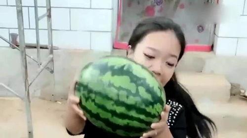 小扬爸爸吃瓜,小扬爸爸的瓜田奇遇记  第3张