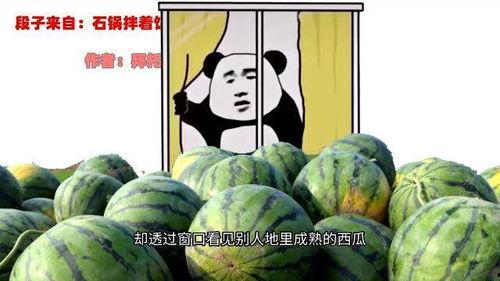 二哥吃瓜,揭秘娱乐圈背后的那些事儿