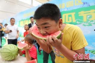 吃瓜现场免费  第2张